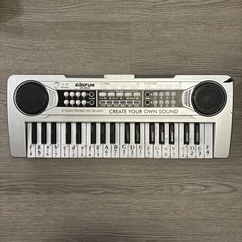 Big Fun Children Electronic Keyboard With Microphone For Musical Practice VZNK
